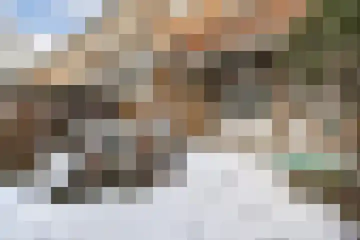 Vlaardingerdijk 15 A Schiedam thumbnail 19