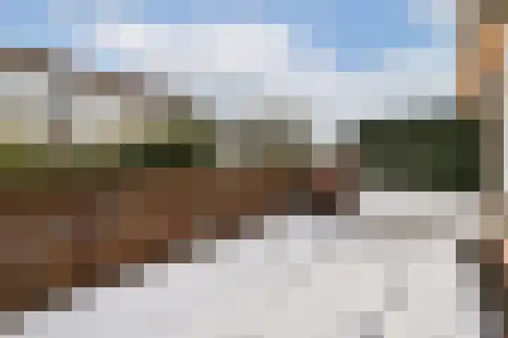 Vlaardingerdijk 15 A Schiedam thumbnail 8