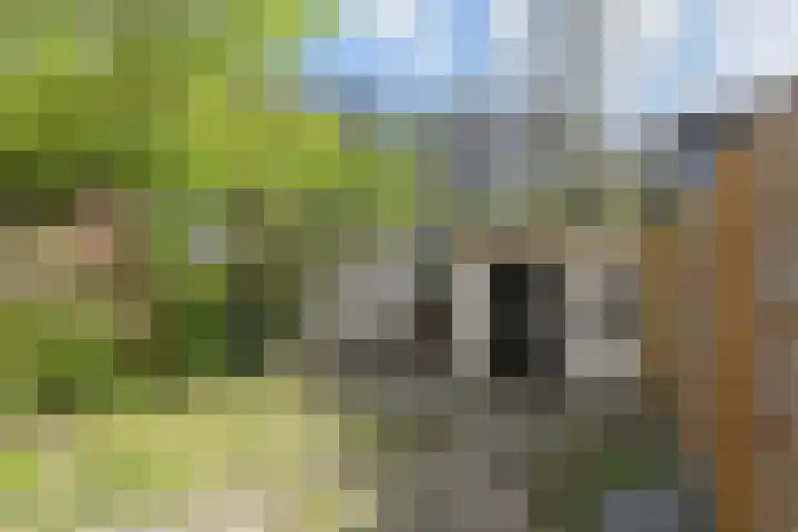 Vlaardingerdijk 157 B Schiedam thumbnail 18