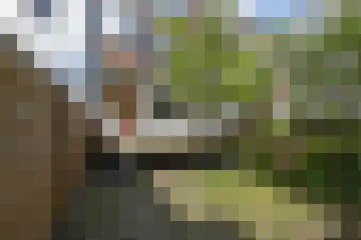 Vlaardingerdijk 157 B Schiedam thumbnail 19