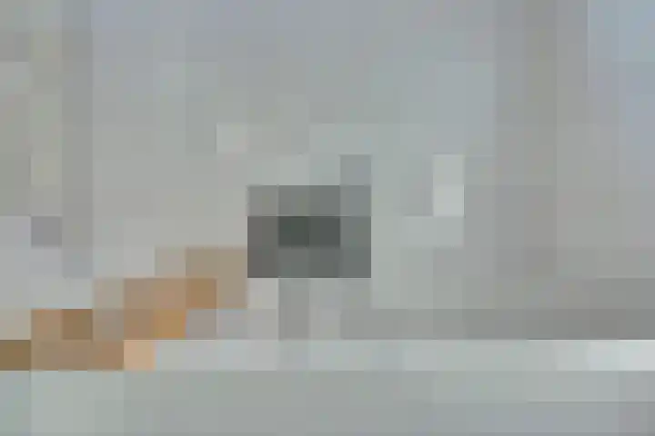 Vlaardingerdijk 17 B Schiedam thumbnail 13