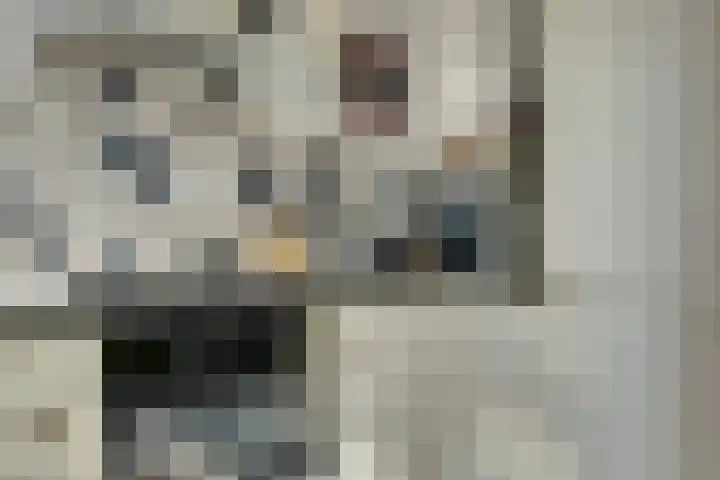 Vlaardingerdijk 17 B Schiedam thumbnail 9