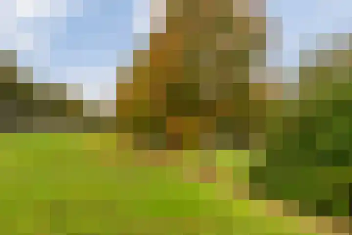 Vlaardingerdijk 177 B Schiedam thumbnail 34