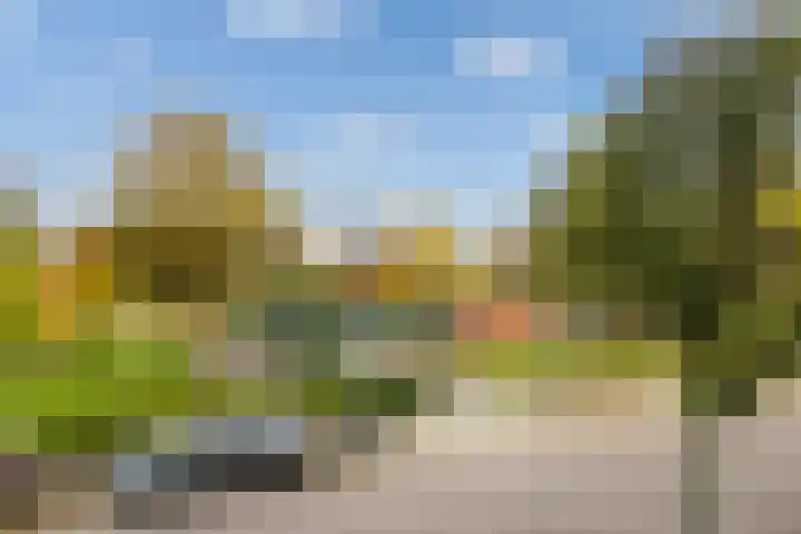 Vlaardingerdijk 177 B Schiedam thumbnail 36
