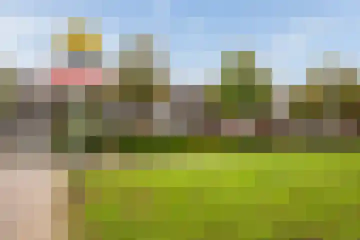 Vlaardingerdijk 177 B Schiedam thumbnail 37