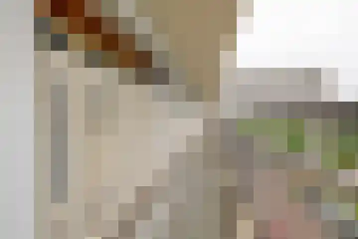 Vlaardingerdijk 184 Schiedam thumbnail 7