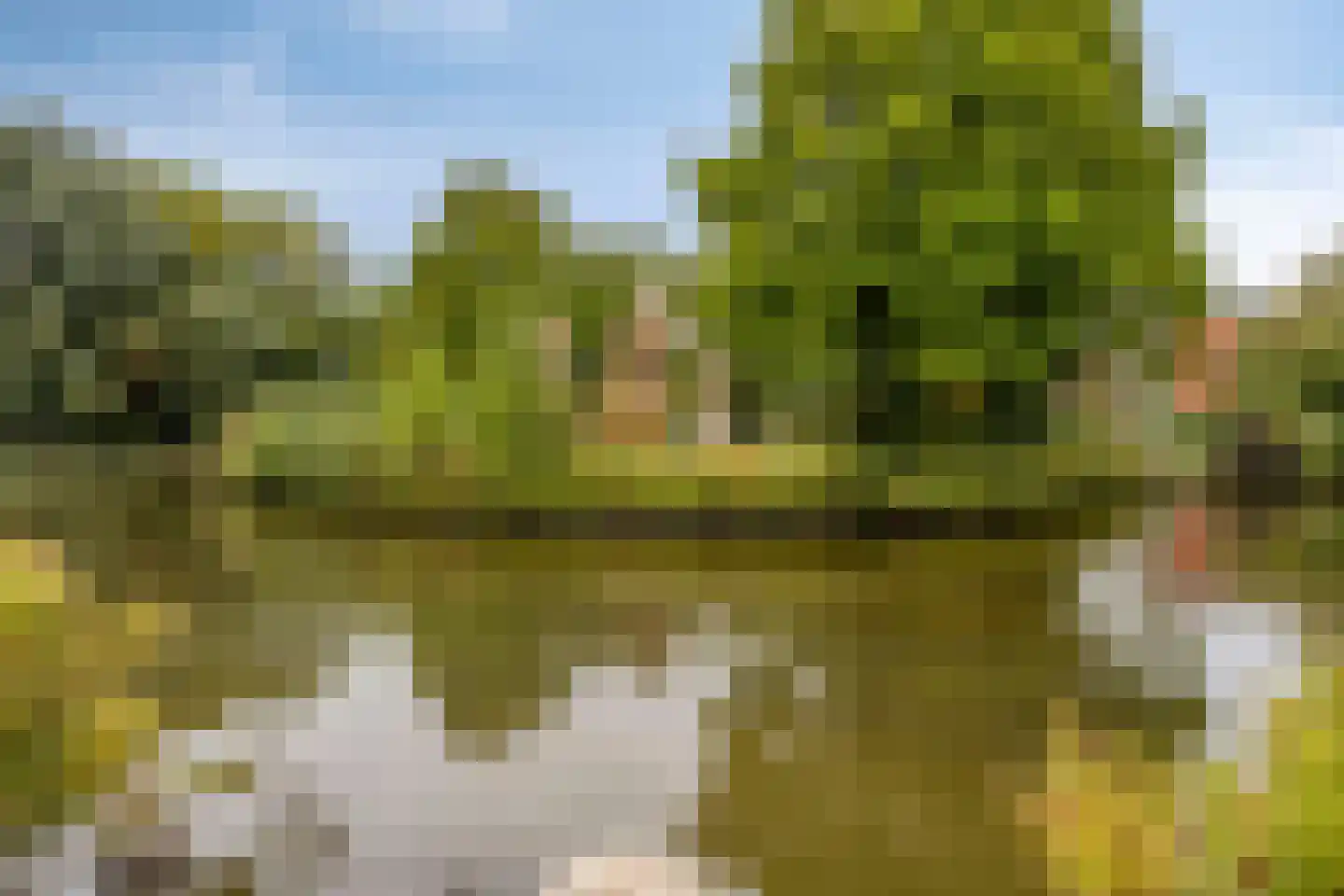 Vlaardingerdijk 215 Schiedam thumbnail 46