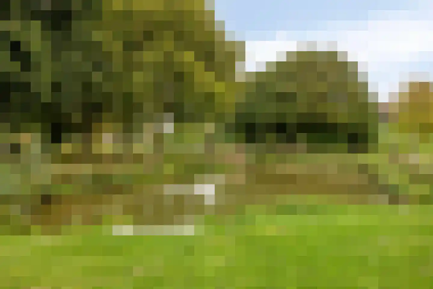 Vlaardingerdijk 215 Schiedam thumbnail 47