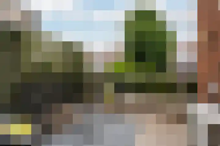 Vlaardingerdijk 227 Schiedam thumbnail 37