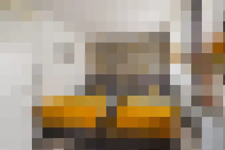 Vlaardingerdijk 227 Schiedam thumbnail 38