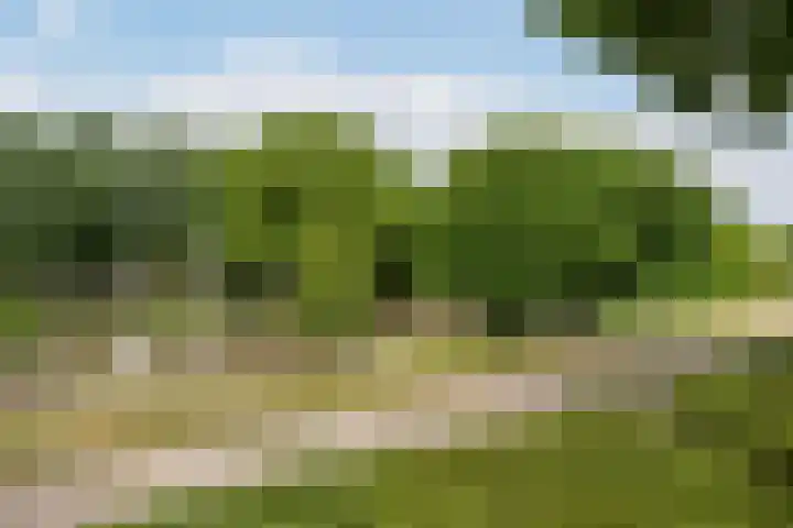Vlaardingerdijk 227 Schiedam thumbnail 49