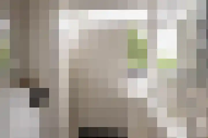 Vlaardingerdijk 227 Schiedam thumbnail 6