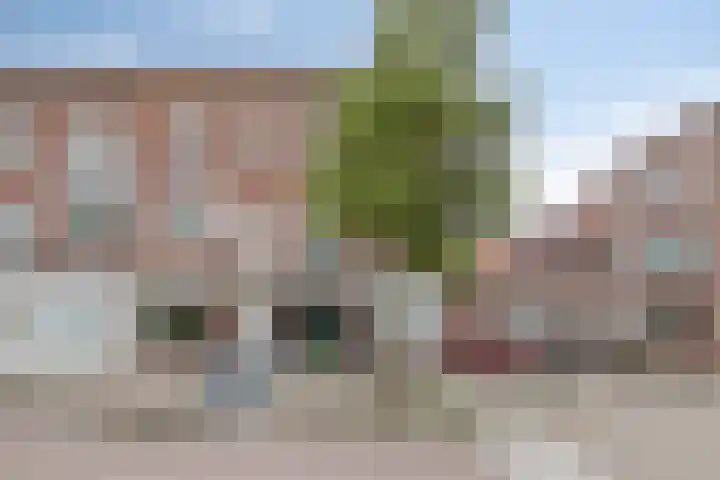 Vlaardingerdijk 247 A Schiedam thumbnail 29