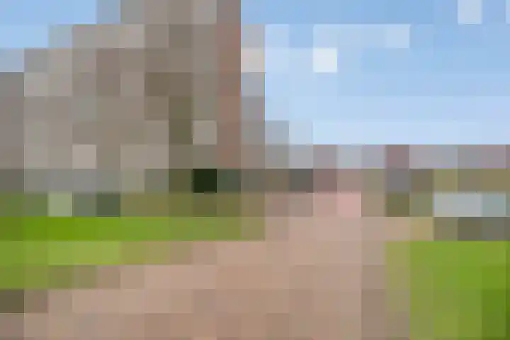 Vlaardingerdijk 252 Schiedam thumbnail 23