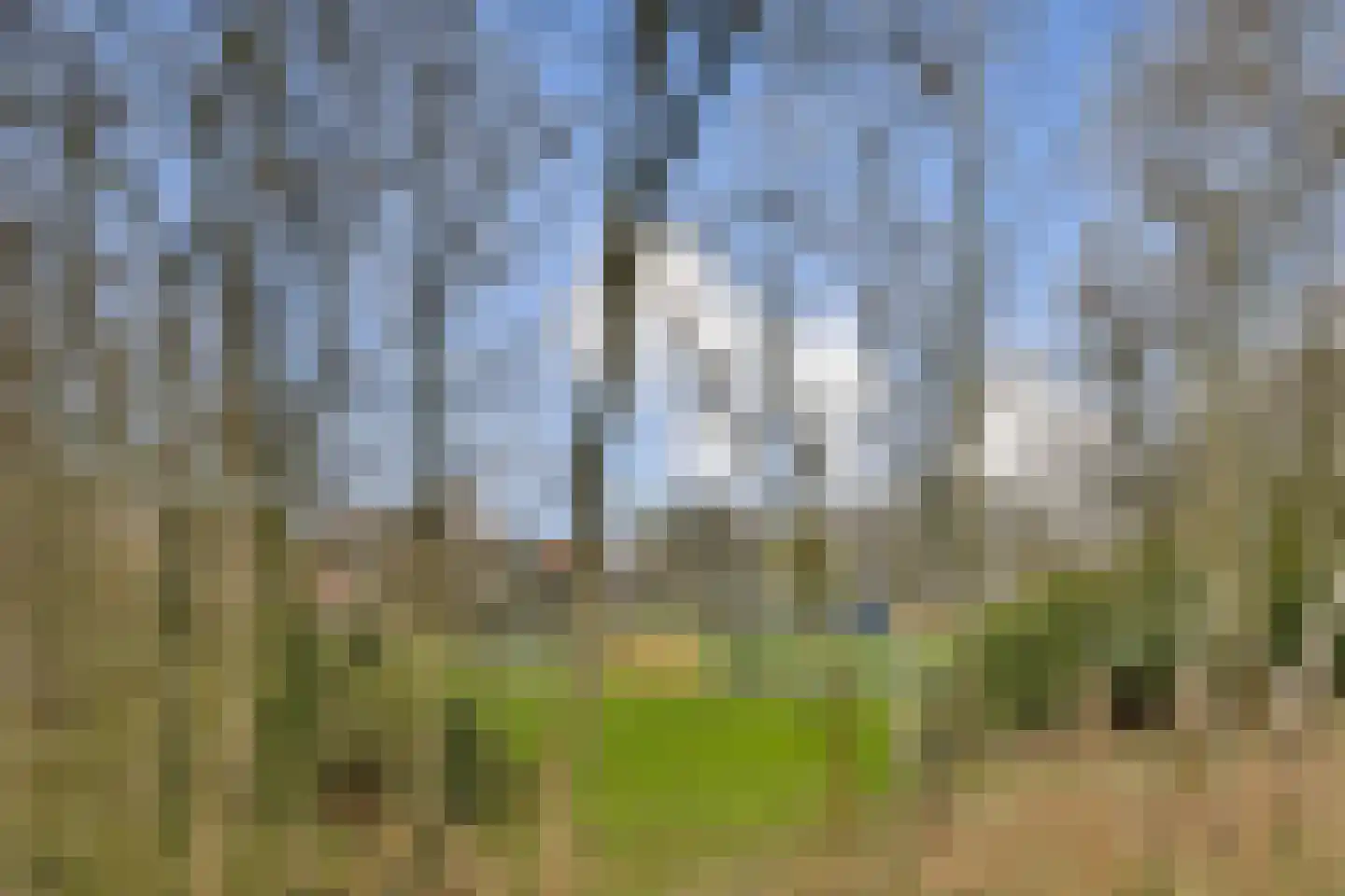 Vlaardingerdijk 287 B Schiedam thumbnail 22