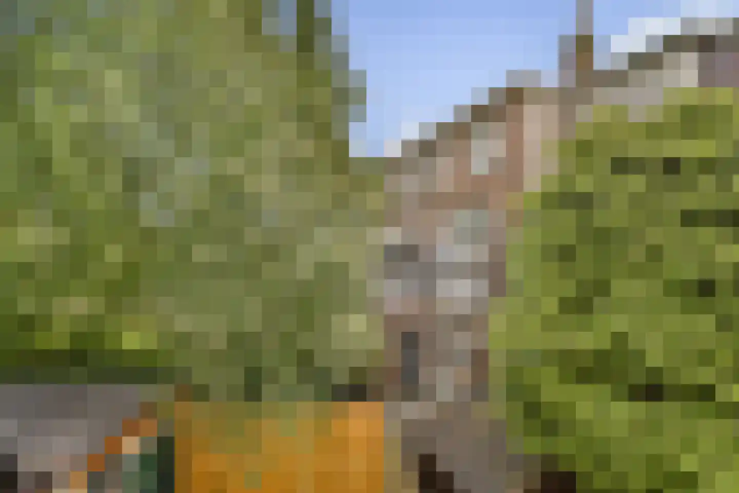 Vlaardingerdijk 287 B Schiedam thumbnail 9