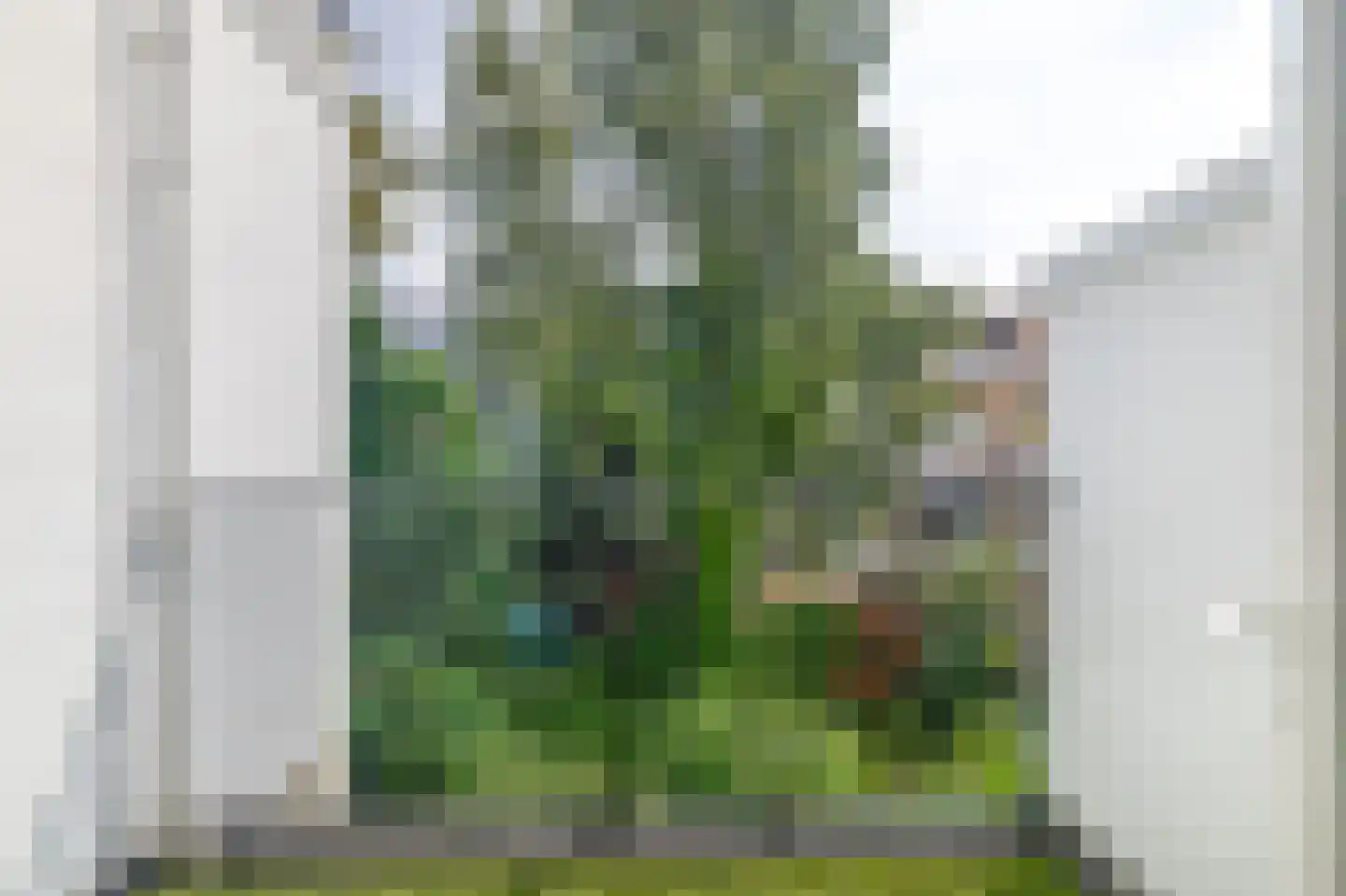 Vlaardingerdijk 325 A Schiedam thumbnail 22