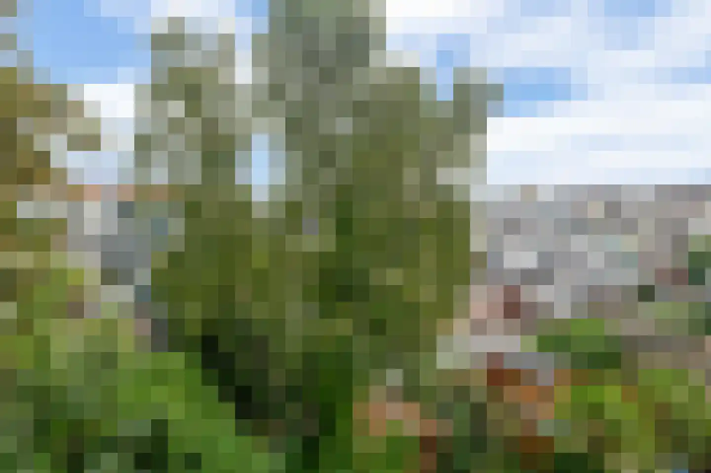 Vlaardingerdijk 325 A Schiedam thumbnail 30