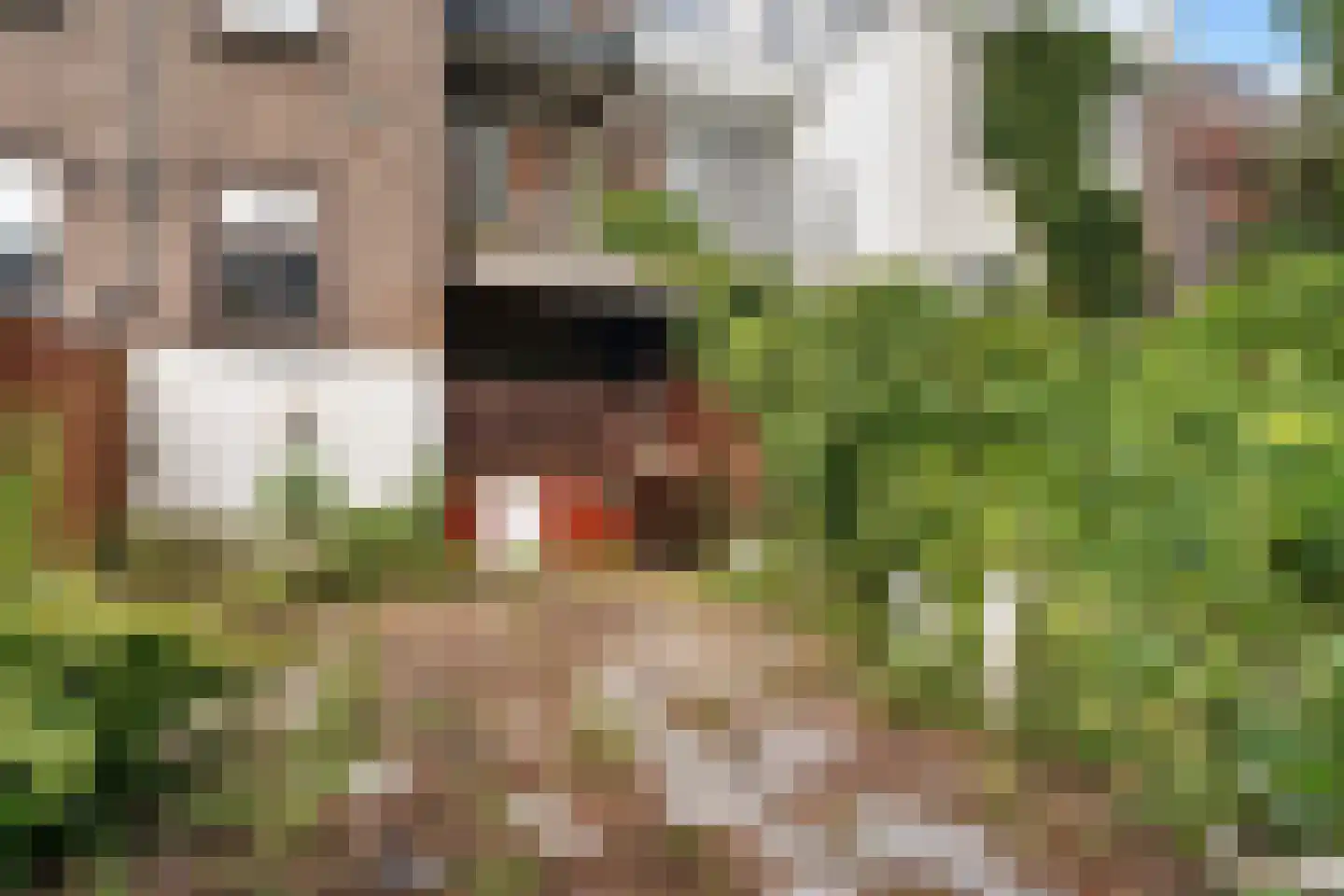 Vlaardingerdijk 327 A Schiedam thumbnail 31