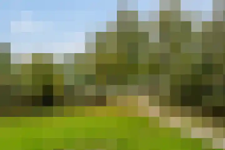 Vlaardingerdijk 338 Schiedam thumbnail 11