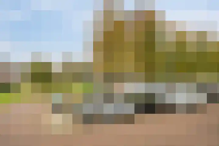 Vlaardingerdijk 338 Schiedam thumbnail 22