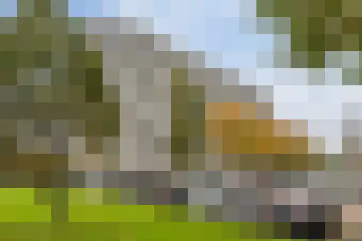 Vlaardingerdijk 338 Schiedam thumbnail 23