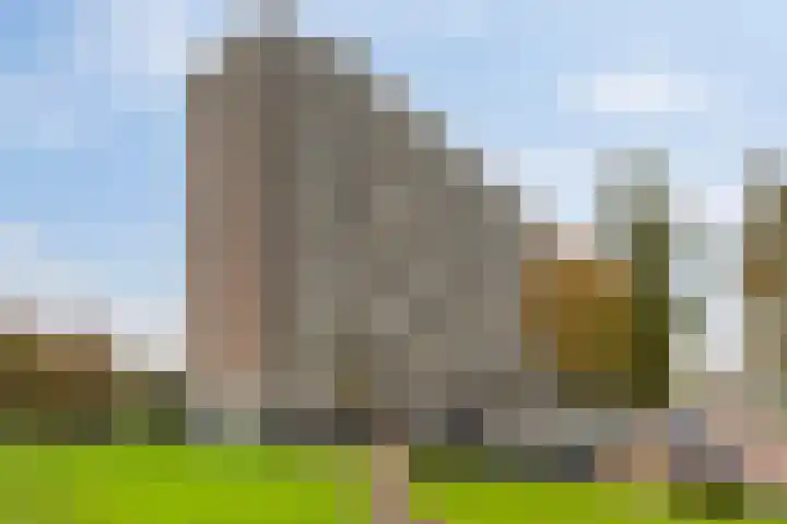 Vlaardingerdijk 338 Schiedam thumbnail 24