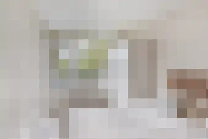 Vlaardingerdijk 338 Schiedam thumbnail 9