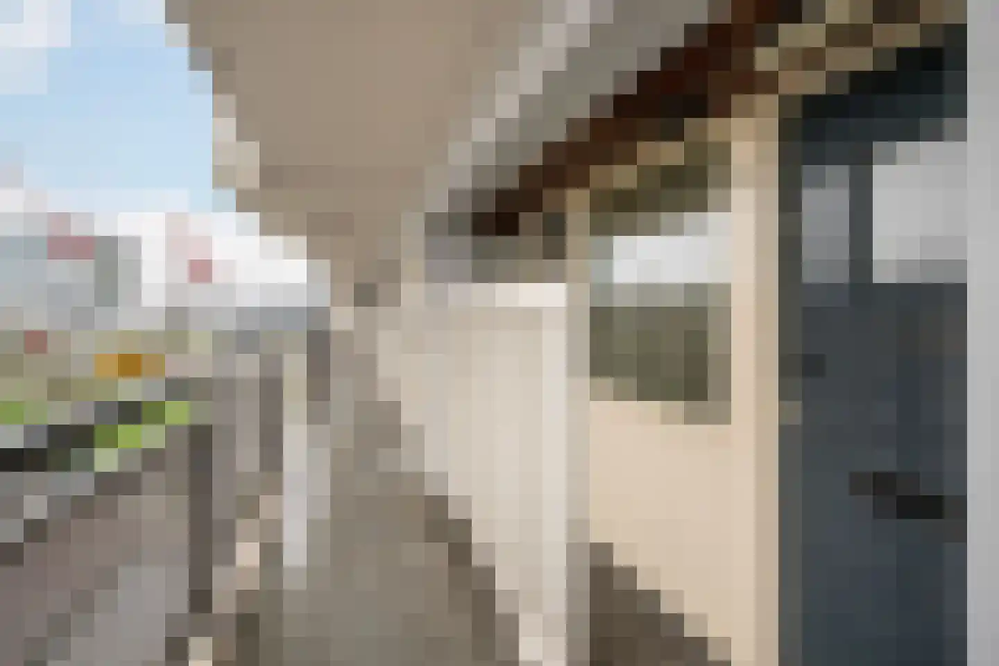 Vlaardingerdijk 346 Schiedam thumbnail 10