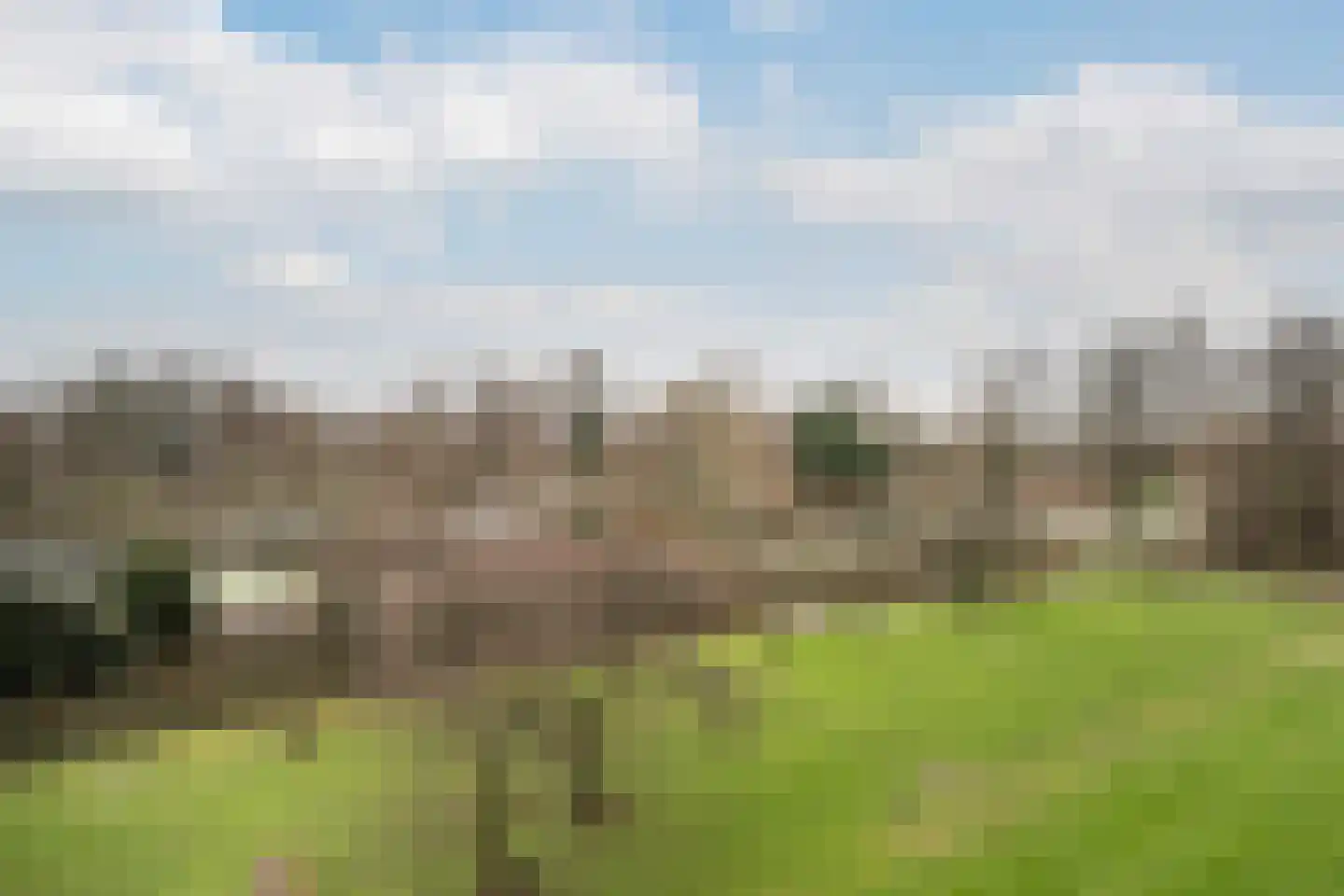 Vlaardingerdijk 346 Schiedam thumbnail 7