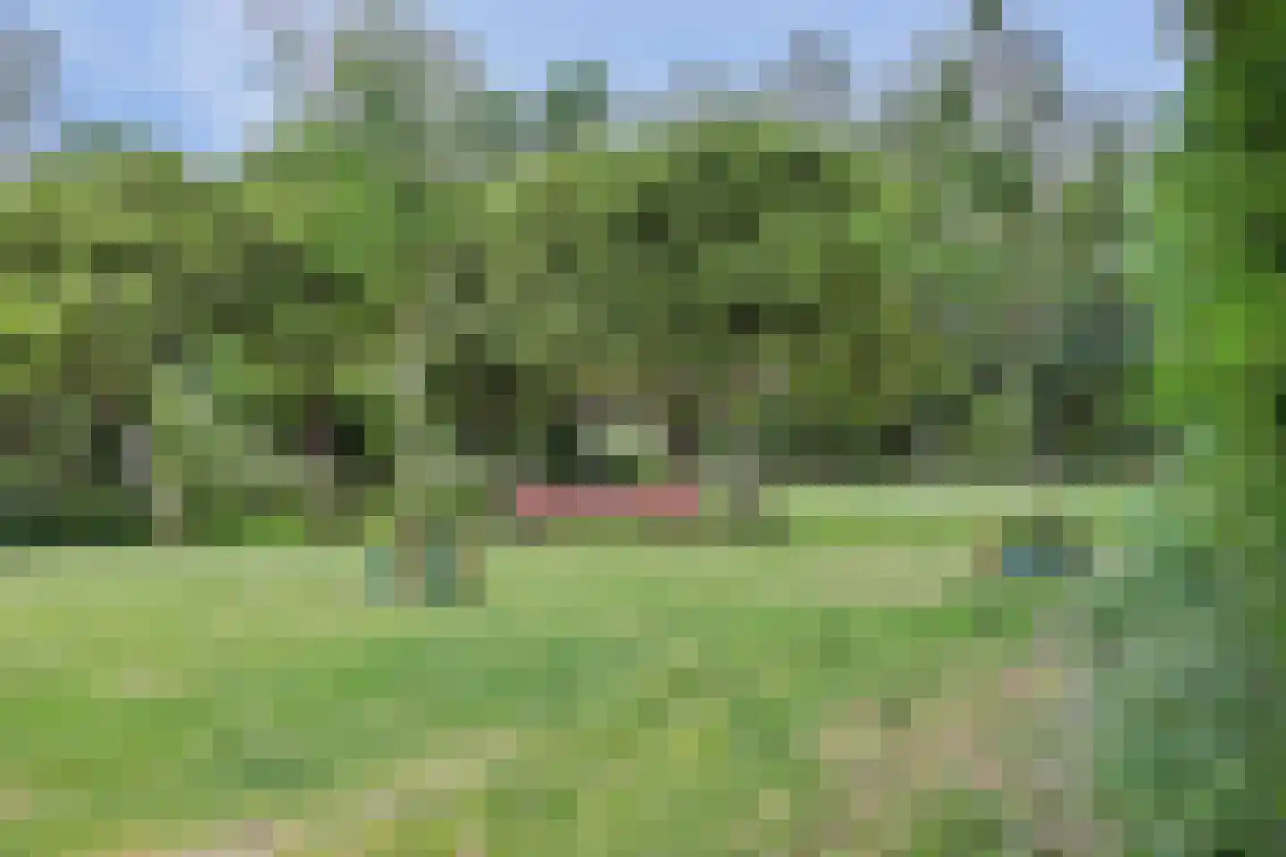 Vlaardingerdijk 422 Schiedam thumbnail 32