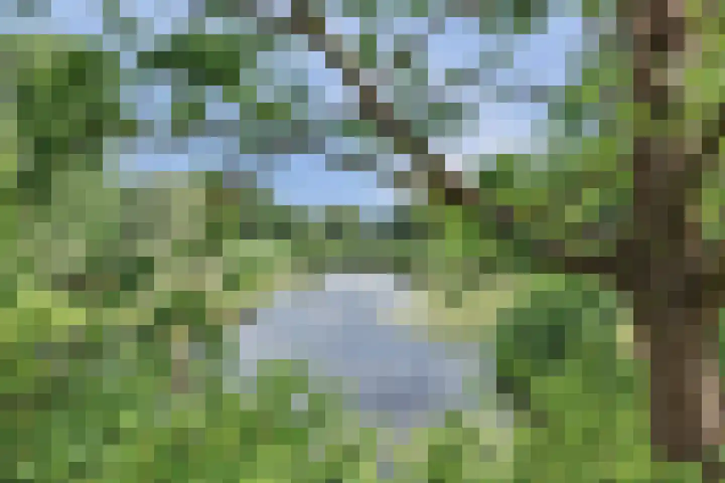 Vlaardingerdijk 422 Schiedam thumbnail 34