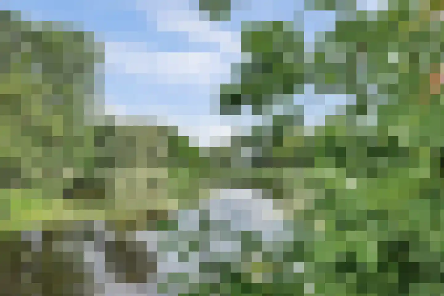 Vlaardingerdijk 422 Schiedam thumbnail 35