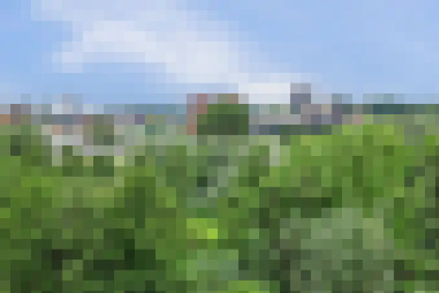 Vlaardingerdijk 422 Schiedam thumbnail 48