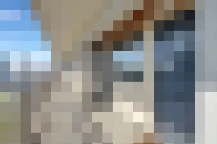 Vlaardingerdijk 458 Schiedam thumbnail 34