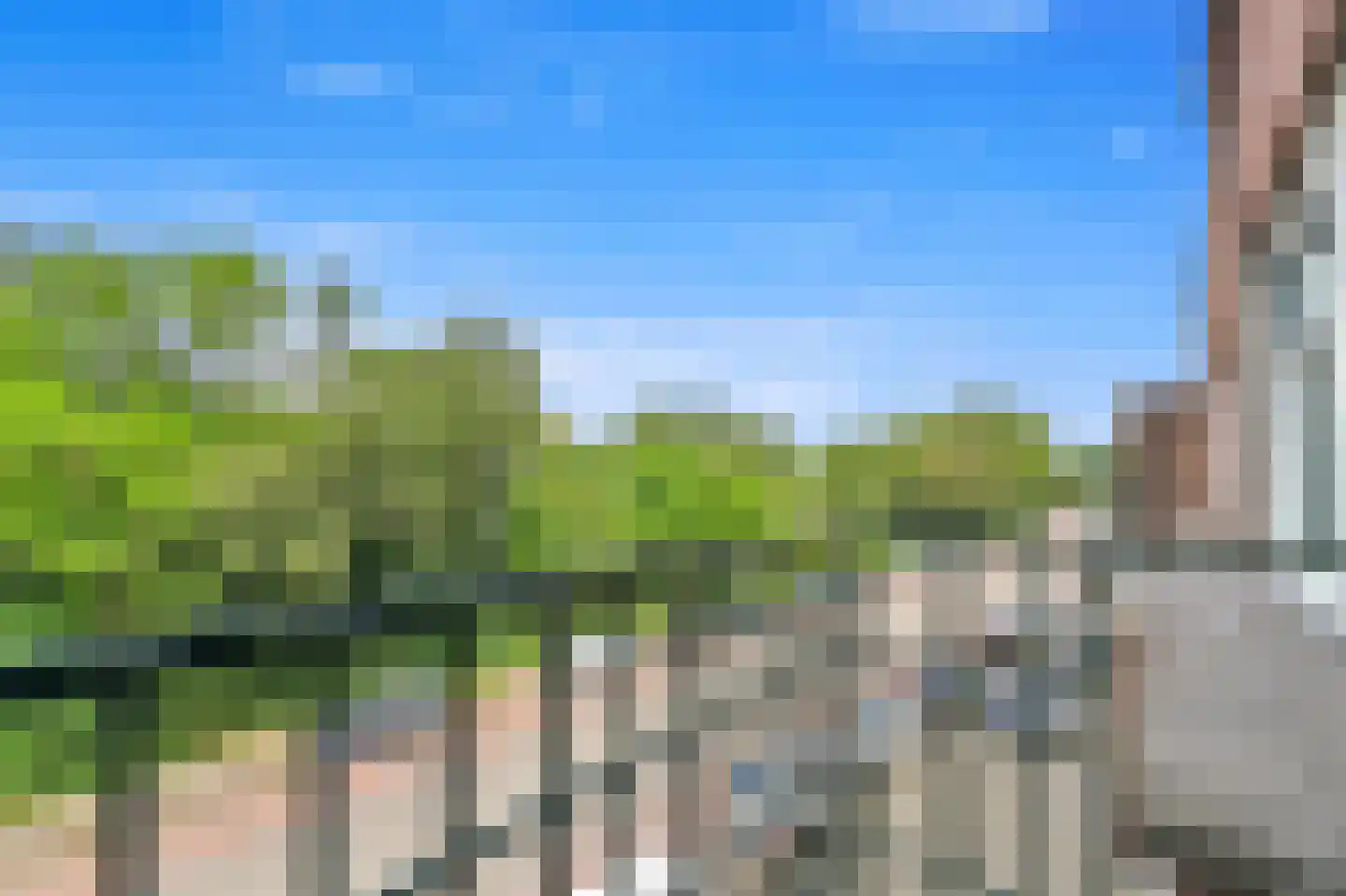 Vlaardingerdijk 61 A Schiedam thumbnail 30