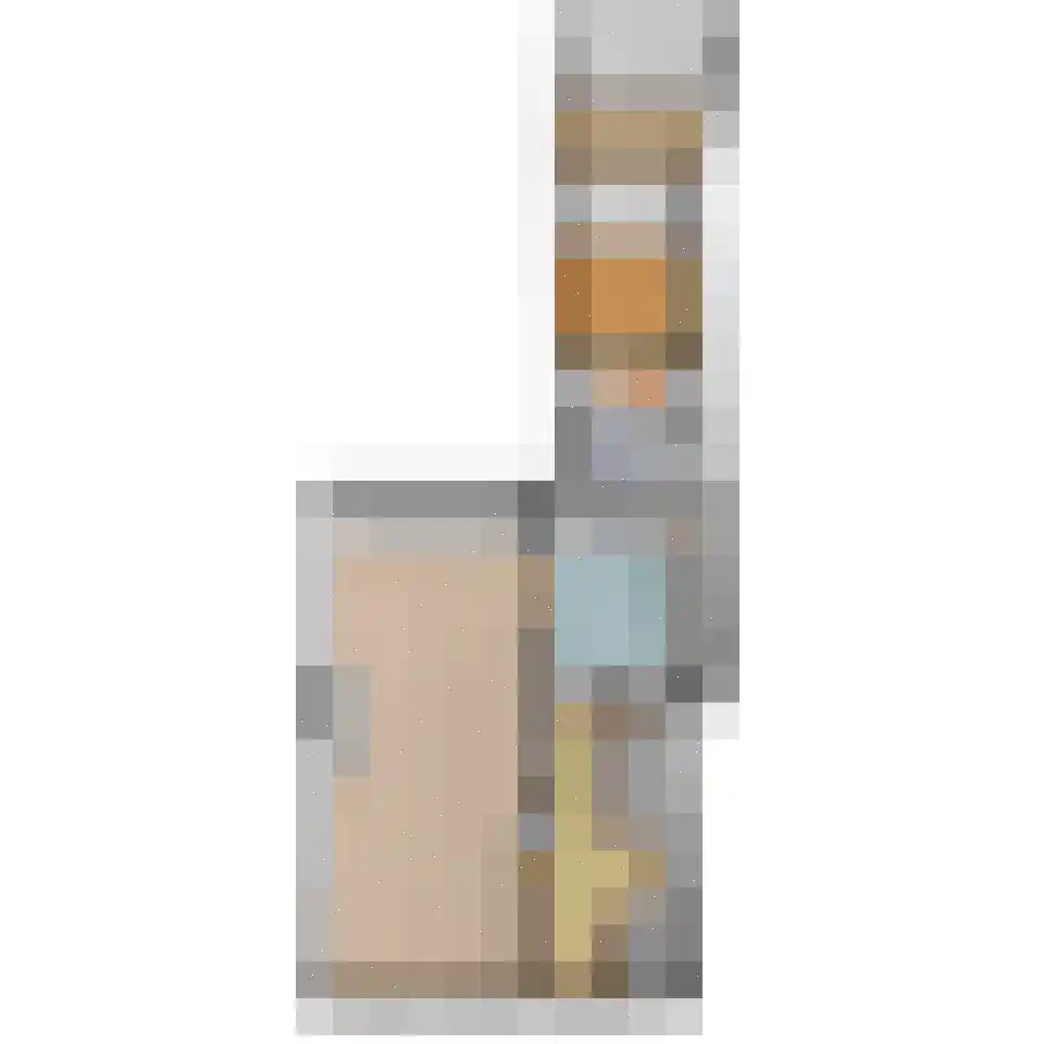 Vlaardingsekade 21 Schipluiden thumbnail 11