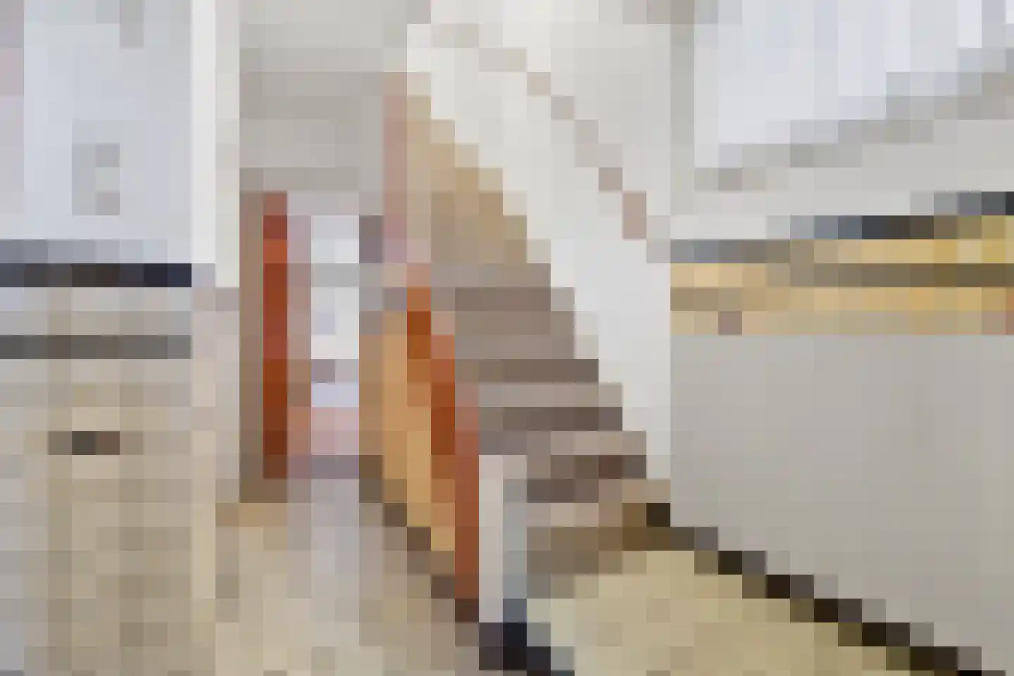 Vlaardingsekade 21 Schipluiden thumbnail 12