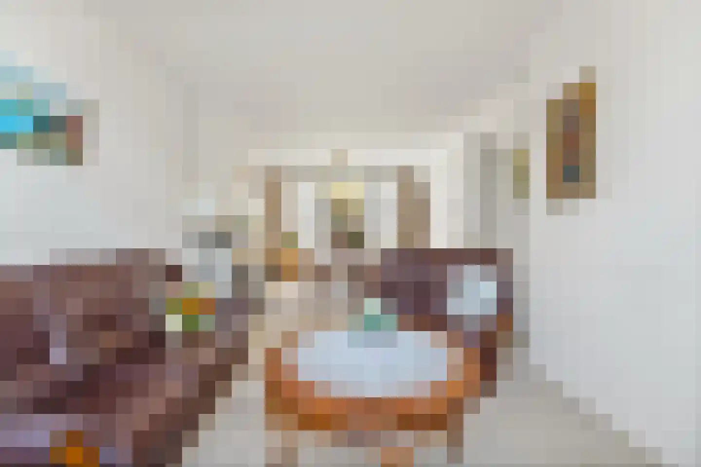 Vlaardingsekade 21 Schipluiden thumbnail 15