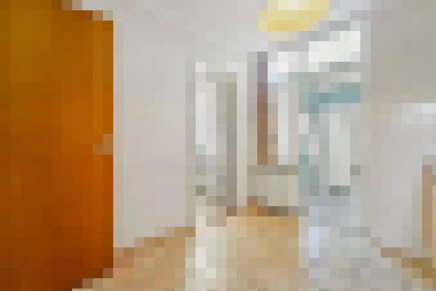 Vlaardingsekade 21 Schipluiden thumbnail 20