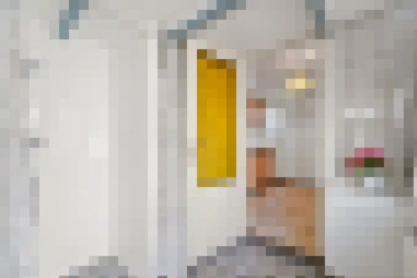 Vlaardingsekade 21 Schipluiden thumbnail 22