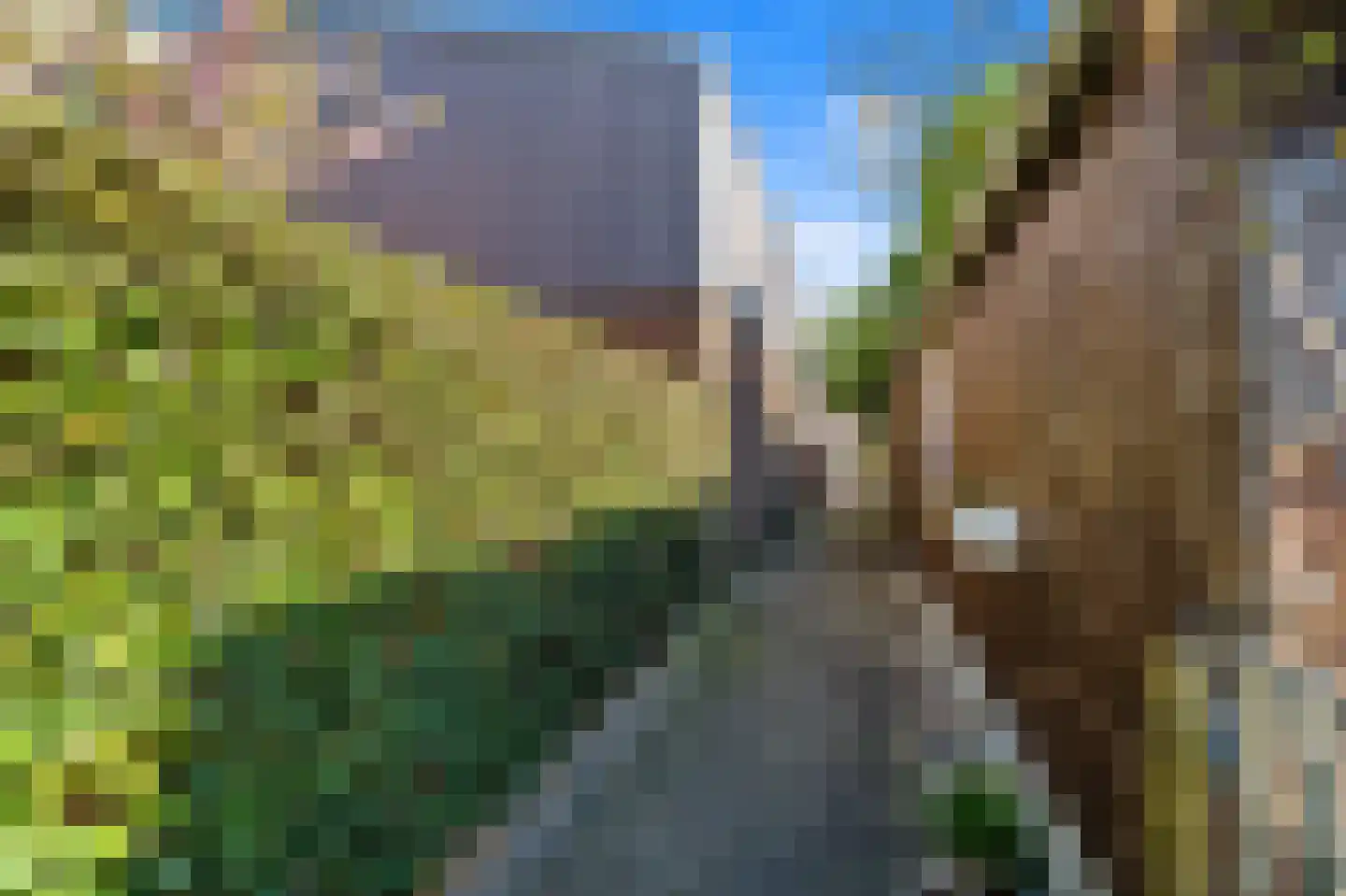Vlaardingsekade 21 Schipluiden thumbnail 31