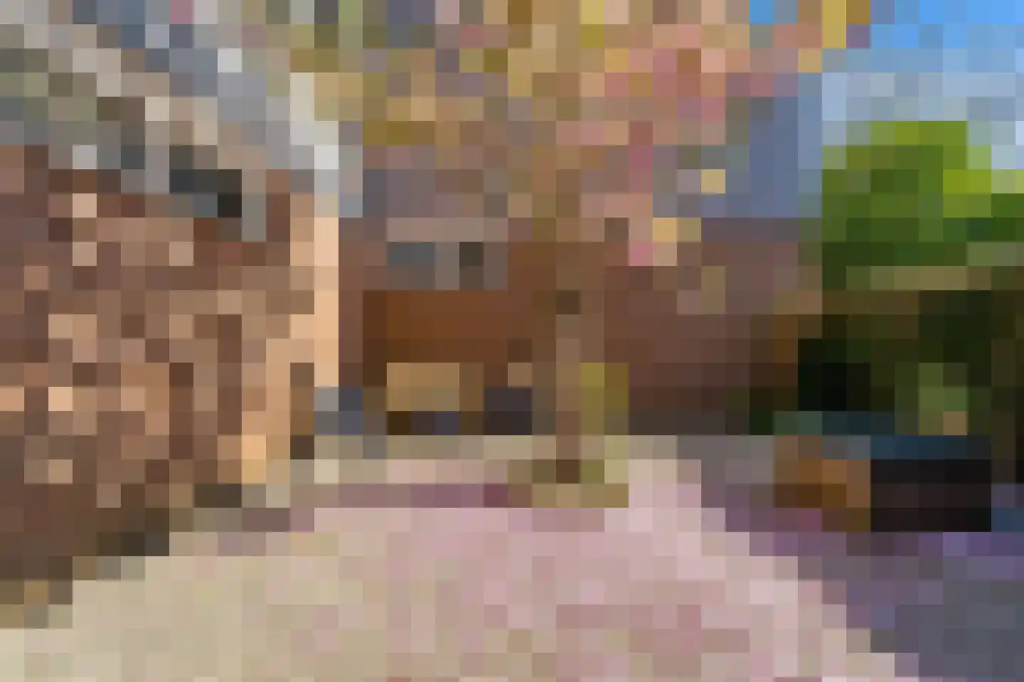 Vlaardingsekade 21 Schipluiden thumbnail 34
