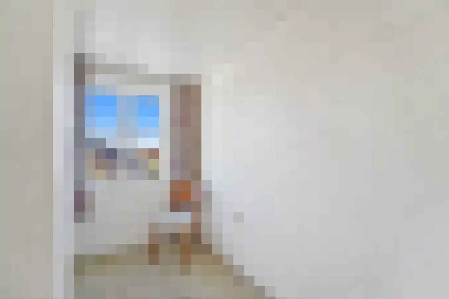 Vlaardingsekade 21 Schipluiden thumbnail 39