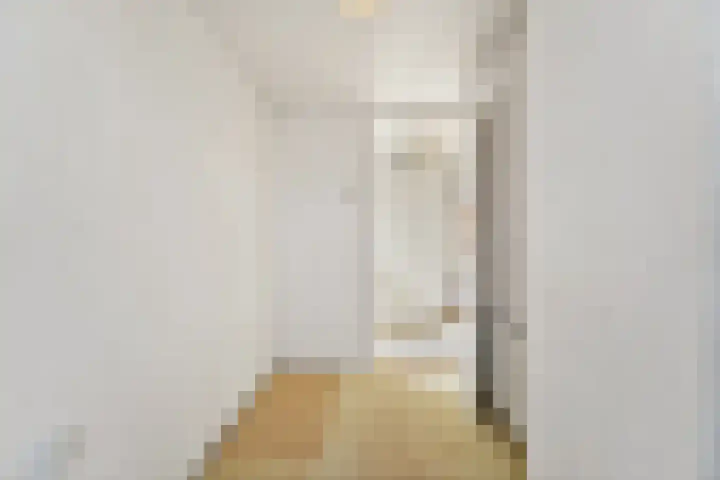 Vlaardingsekade 21 Schipluiden thumbnail 40