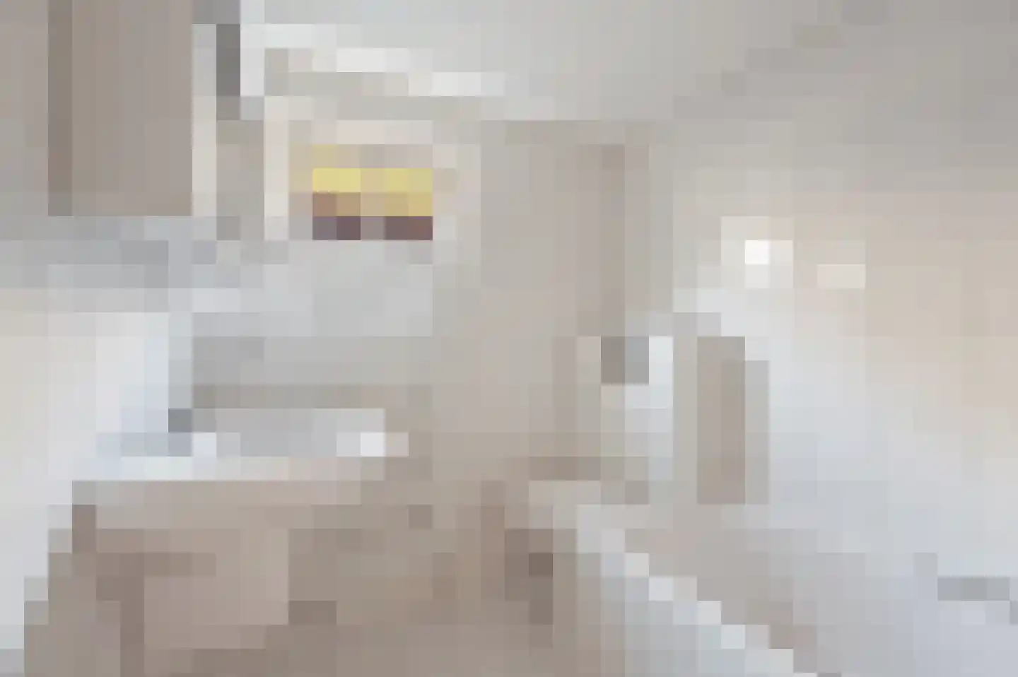 Vlaardingsekade 21 Schipluiden thumbnail 47