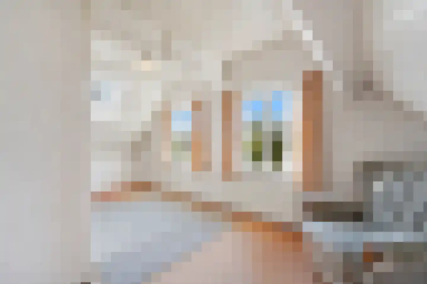 Vlaardingsekade 21 Schipluiden thumbnail 52
