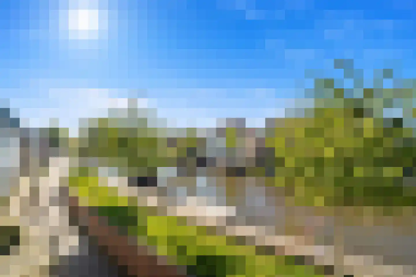 Vlaardingsekade 21 Schipluiden thumbnail 53