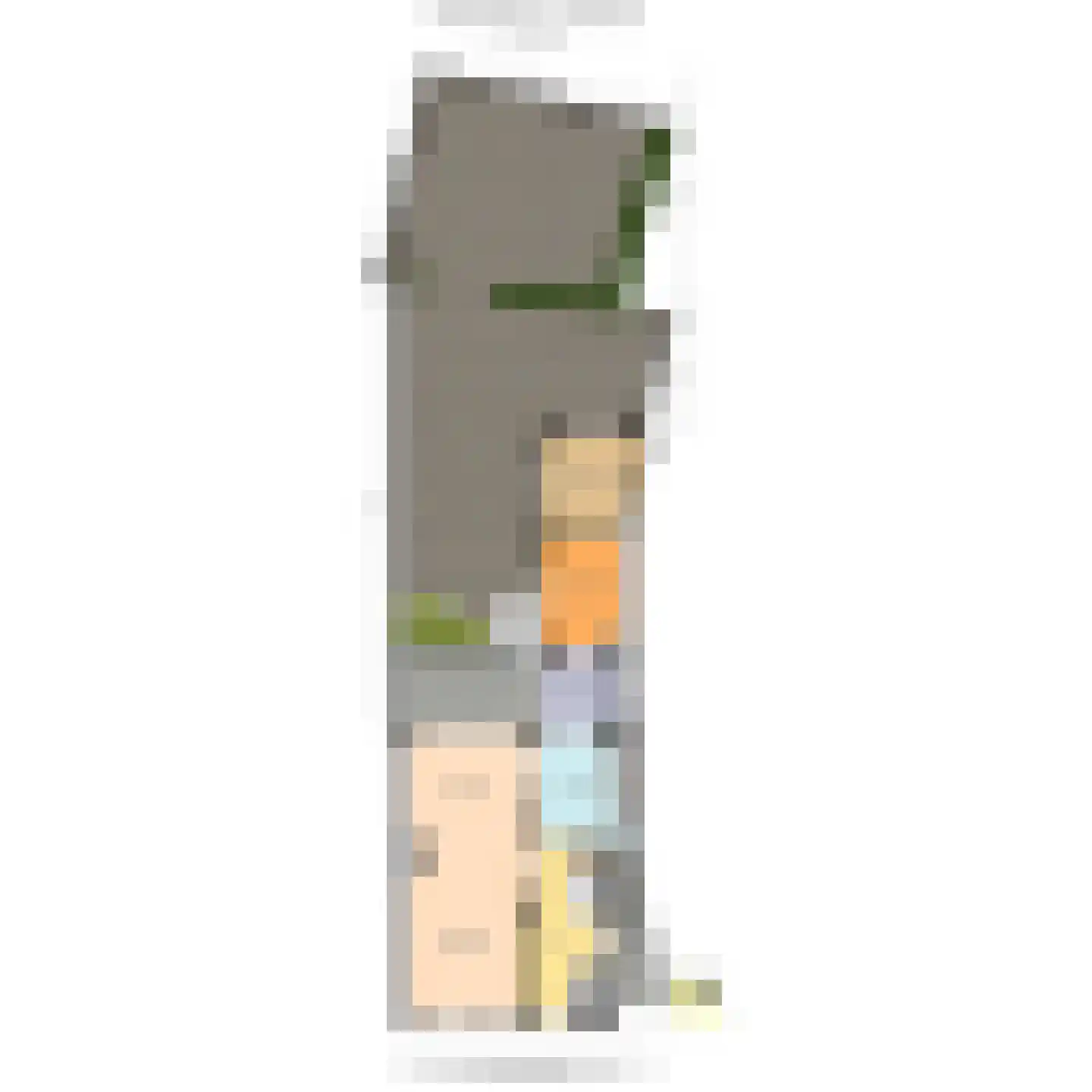Vlaardingsekade 21 Schipluiden thumbnail 55