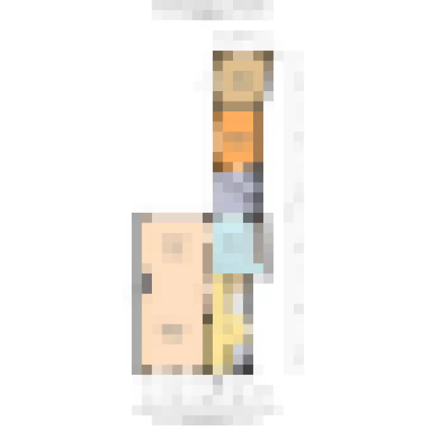 Vlaardingsekade 21 Schipluiden thumbnail 63